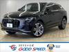AUDI OTHER