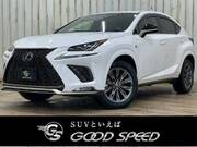 2020 LEXUS NX