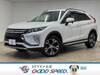 MITSUBISHI OTHER