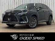 2019 LEXUS RX