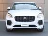 JAGUAR OTHER
