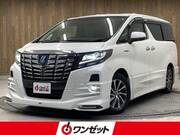 2017 TOYOTA ALPHARD HYBRID