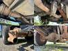 ISUZU OTHER