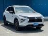 MITSUBISHI OTHER