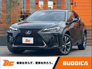 2019 LEXUS UX