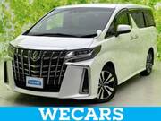 2019 TOYOTA ALPHARD G