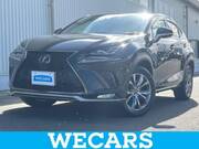 2019 LEXUS NX