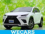 2019 LEXUS NX