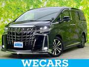 2019 TOYOTA ALPHARD