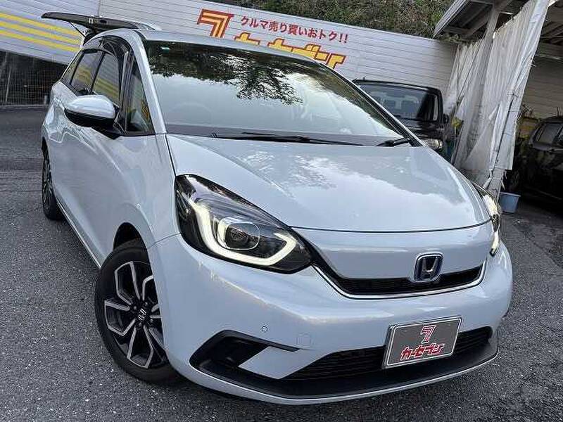 -FIT HYBRID
