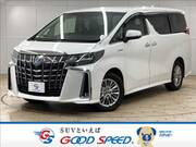 2019 TOYOTA ALPHARD HYBRID