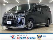 2019 TOYOTA ALPHARD HYBRID
