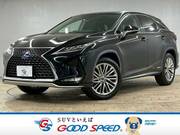 2020 LEXUS RX