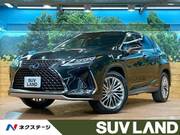 2020 LEXUS RX