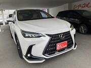 2023 LEXUS NX