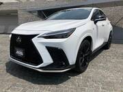 2024 LEXUS NX