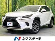 2019 LEXUS NX