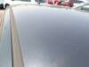 NISSAN DUALIS