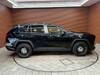 MITSUOKA OTHER