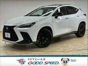 2022 LEXUS NX