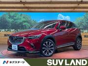2019 MAZDA CX-3