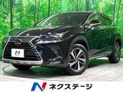 2018 LEXUS NX