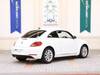 VOLKSWAGEN THE BEETLE