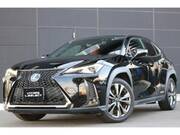 2019 LEXUS UX