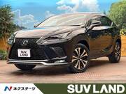 2020 LEXUS NX