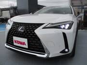 2020 LEXUS UX