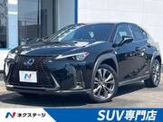 2019 LEXUS UX