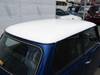 ROVER MINI