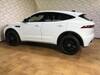 JAGUAR OTHER