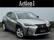 2018 LEXUS UX
