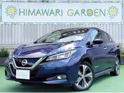 2018 NISSAN LEAF G