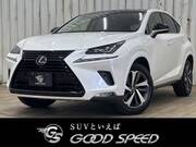 2019 LEXUS NX