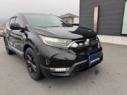 2021 HONDA OTHER