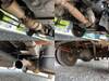 ISUZU OTHER