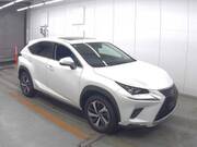 2019 LEXUS NX