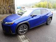 2019 LEXUS UX