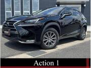 2014 LEXUS NX