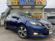 2017 NISSAN LEAF G