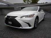 2021 LEXUS ES