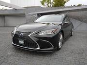 2019 LEXUS ES