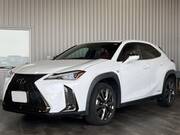 2019 LEXUS UX