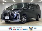2019 TOYOTA ALPHARD HYBRID