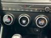 JAGUAR OTHER