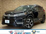 2019 HONDA OTHER