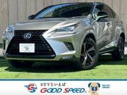 2020 LEXUS NX