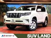 2020 TOYOTA LAND CRUISER PRADO TX